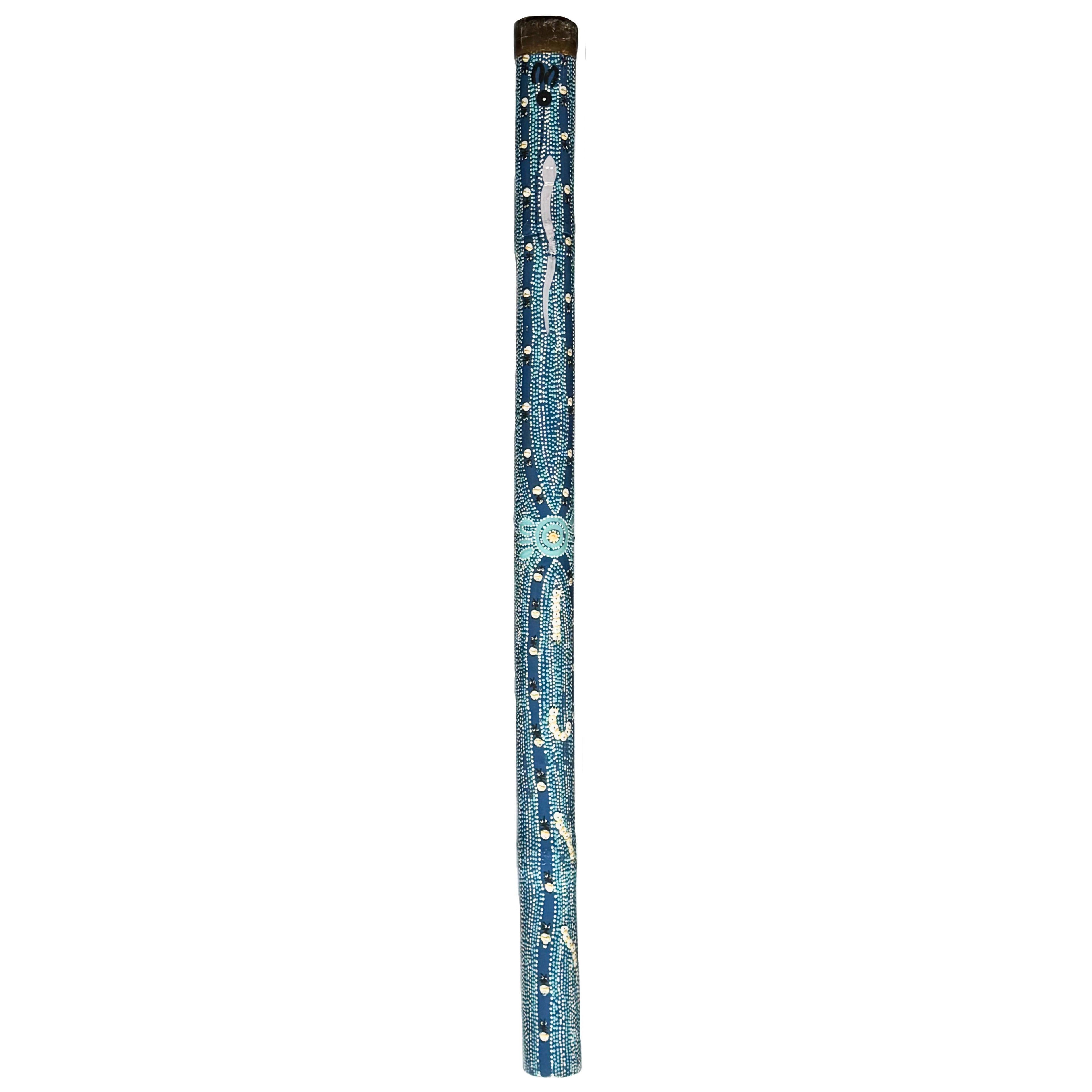 aboriginal didgeridoo