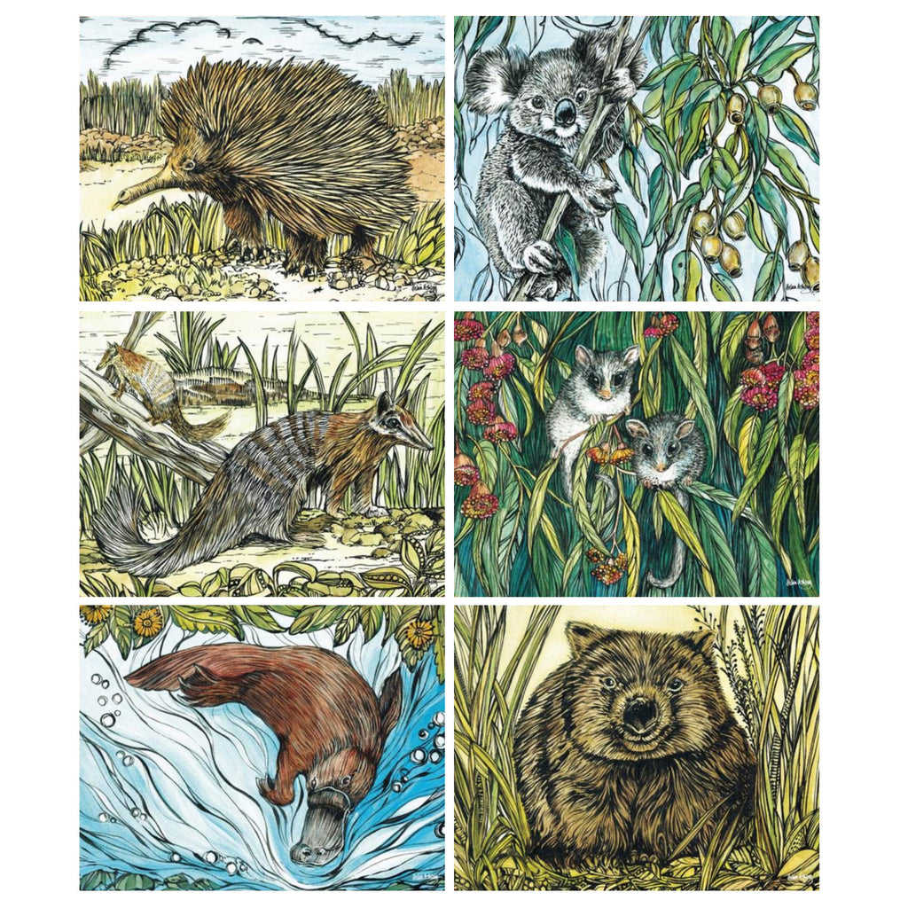 australian placemats coasters
