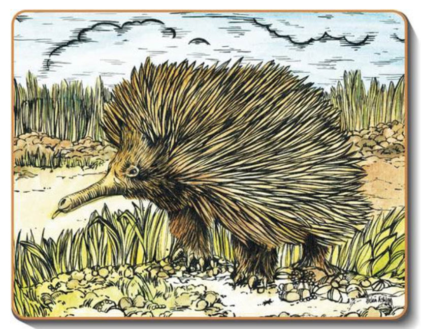 australian placemats coasters