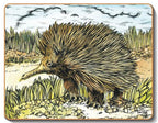 australian placemats coasters