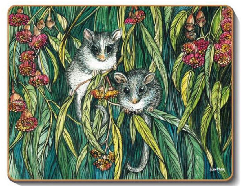 australian placemats coasters