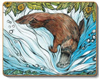 australian placemats coasters