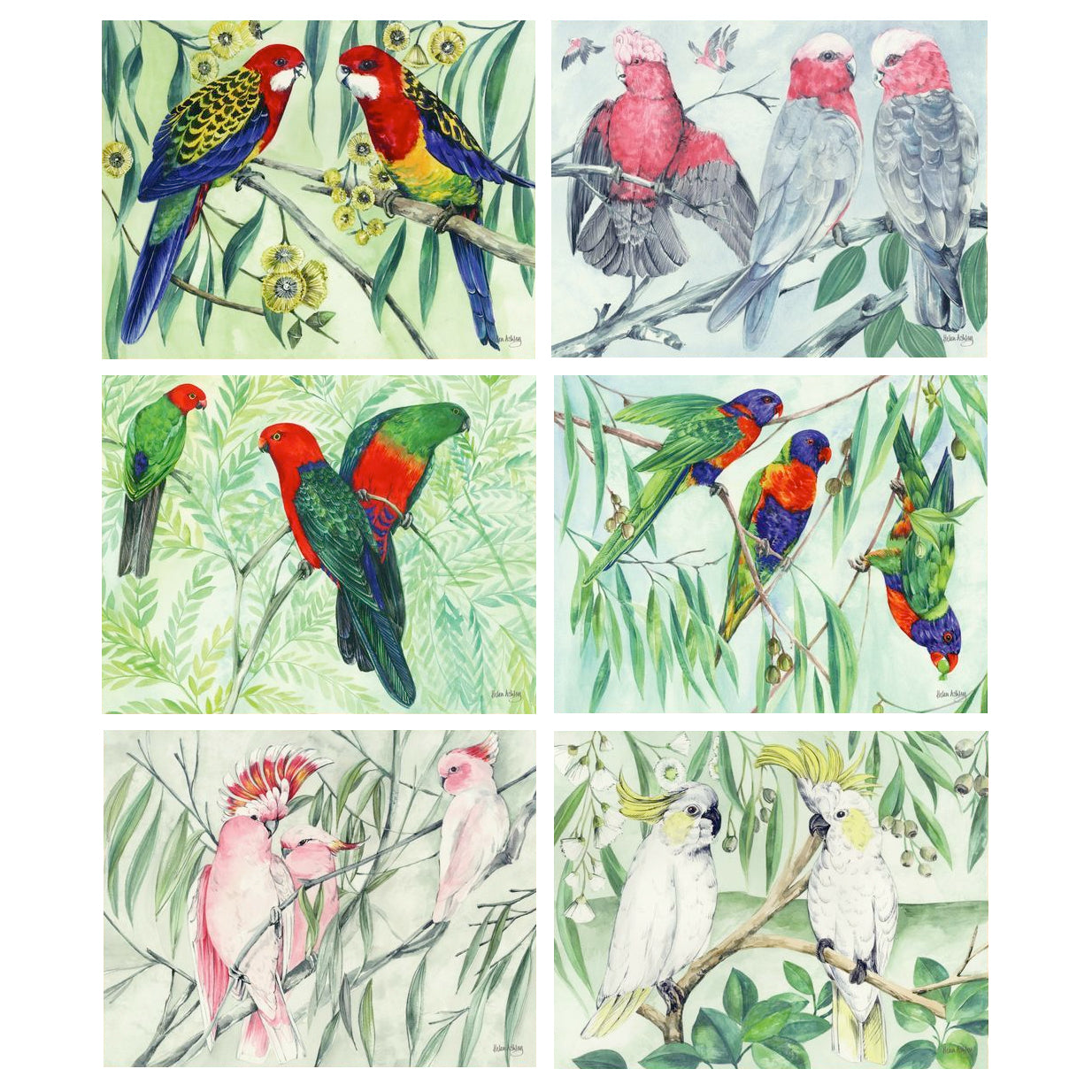 australian placemats coasters