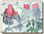 australian placemats coasters
