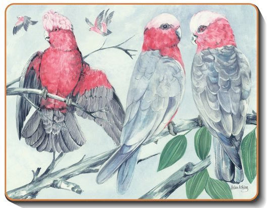 australian placemats coasters