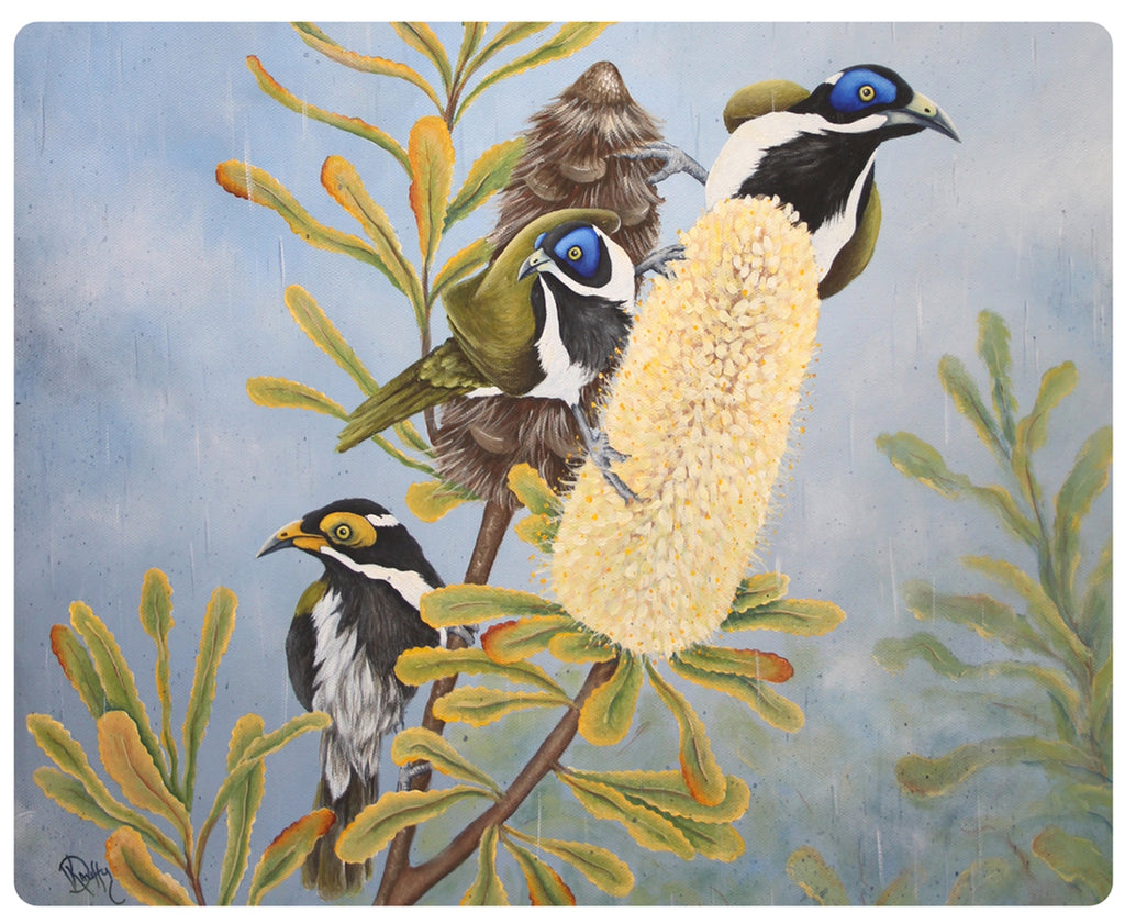 4 PLACEMATS + 4 COASTERS - MADE IN AUSTRALIA - WATERPROOF - AUSTRALIAN BIRDS, NATIVE FLOWERS - SOUVENIR, GIFT