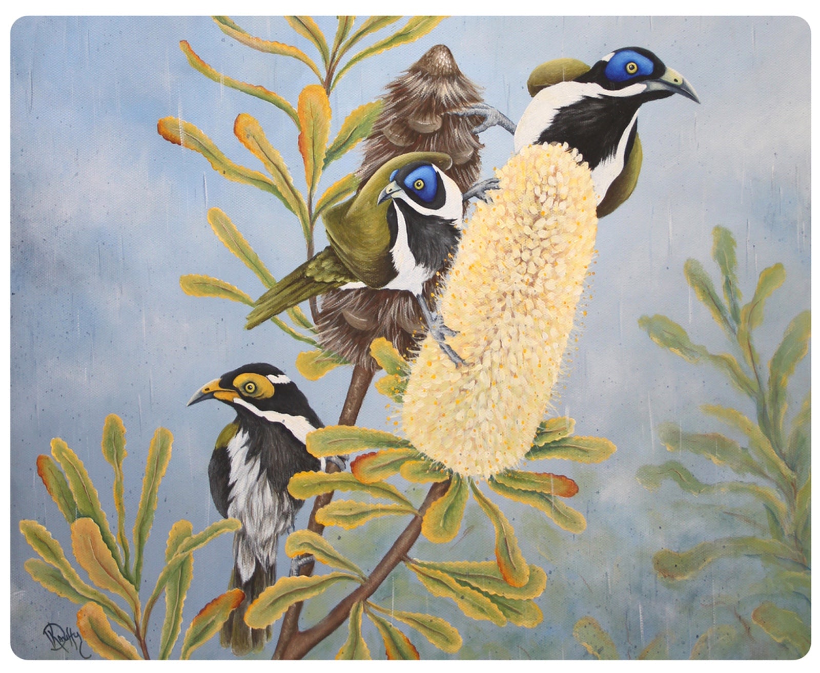 4 PLACEMATS + 4 COASTERS - MADE IN AUSTRALIA - WATERPROOF - AUSTRALIAN BIRDS, NATIVE FLOWERS - SOUVENIR, GIFT