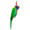 rainbow lorikeet christmas ornament