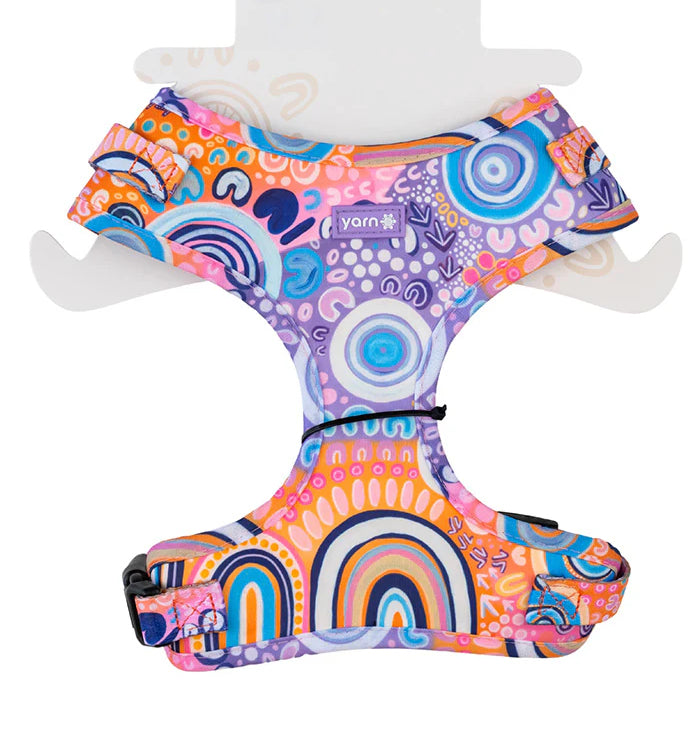 aboriginal dog leash and harness