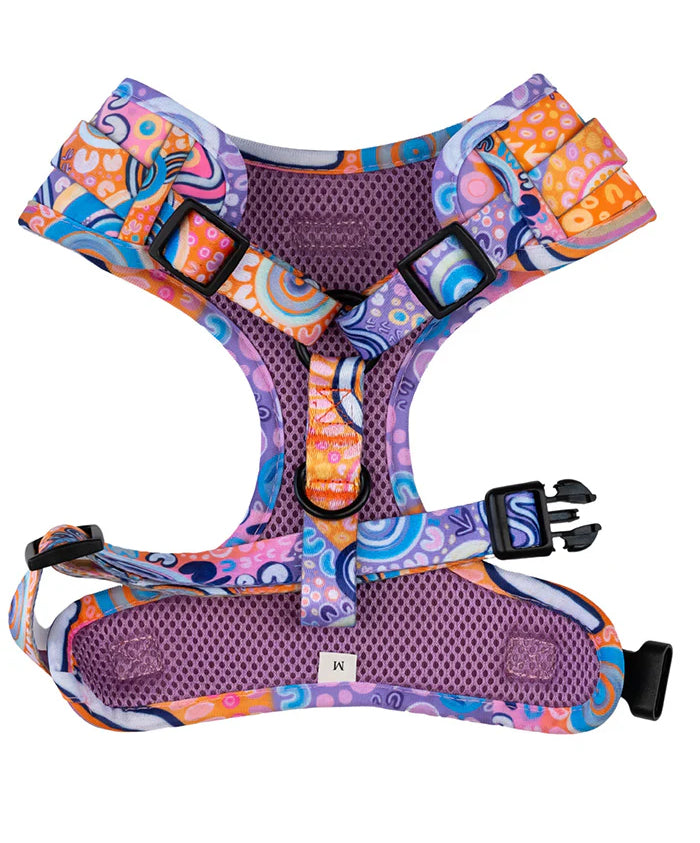 aboriginal dog leash and harness