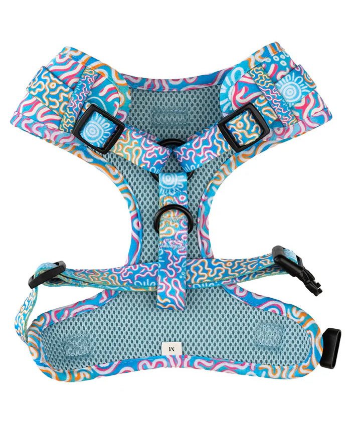 aboriginal dog leash and harness