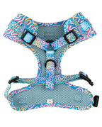 aboriginal dog leash and harness