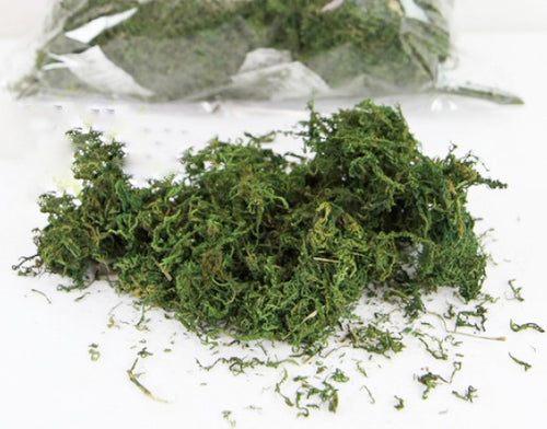 dried moss