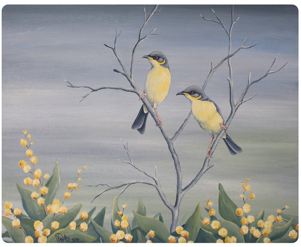 4 PLACEMATS + 4 COASTERS - MADE IN AUSTRALIA - WATERPROOF - AUSTRALIAN BIRDS, NATIVE FLOWERS - SOUVENIR, GIFT