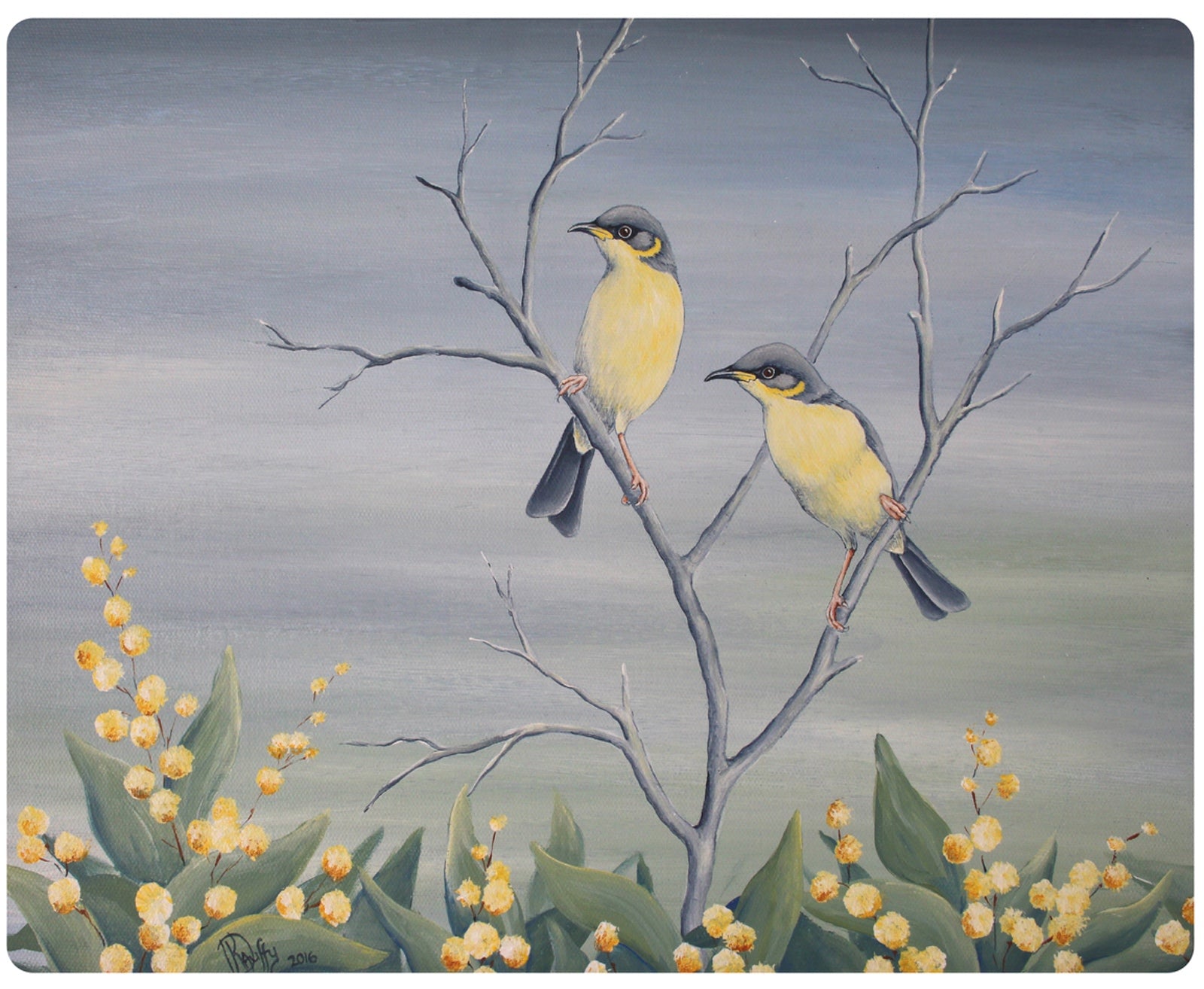 4 PLACEMATS + 4 COASTERS - MADE IN AUSTRALIA - WATERPROOF - AUSTRALIAN BIRDS, NATIVE FLOWERS - SOUVENIR, GIFT