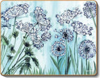 australian placemats coasters