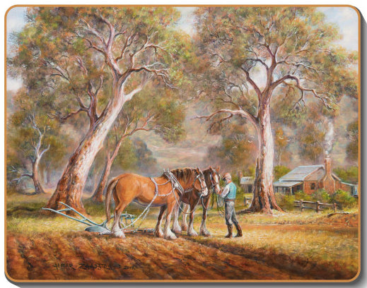 australian placemats coasters