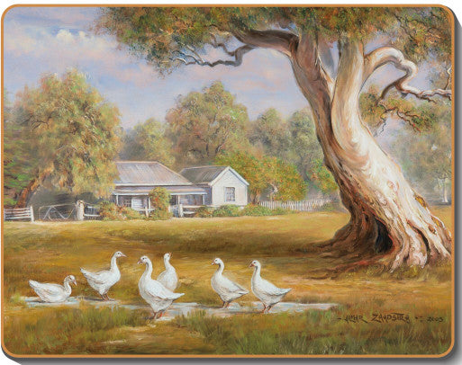 australian placemats coasters