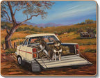 australian placemats coasters
