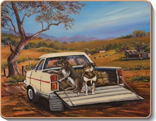 australian placemats coasters