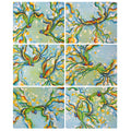 australian placemats coasters