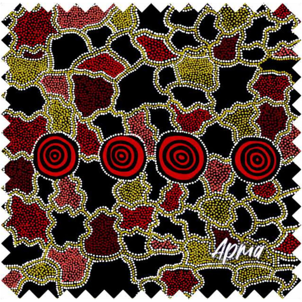 aboriginal lens cloth
