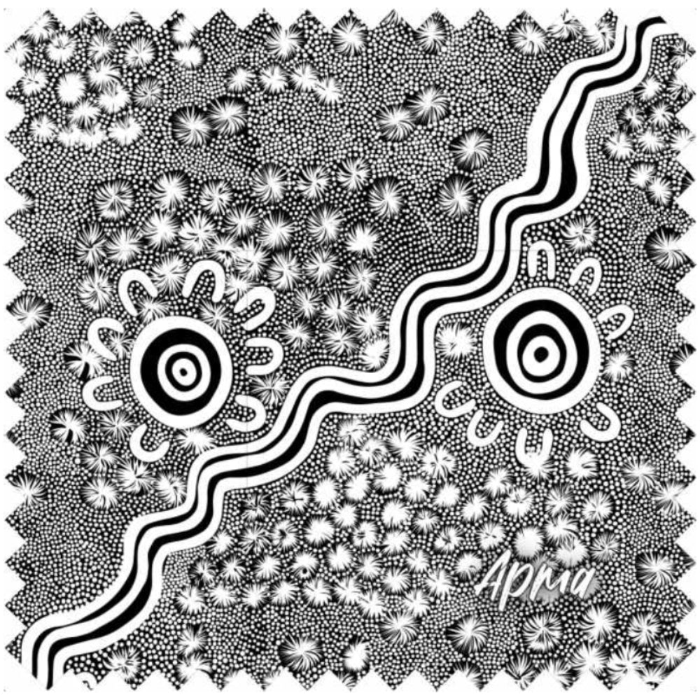 aboriginal lens cloth