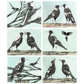 australian placemats coasters
