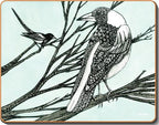 australian placemats coasters