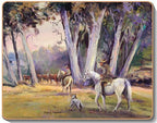 australian placemats coasters