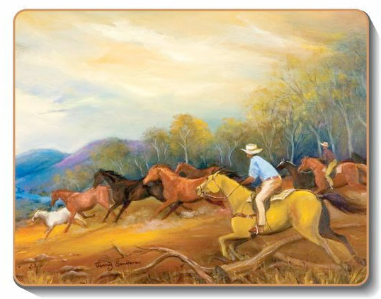 australian placemats coasters