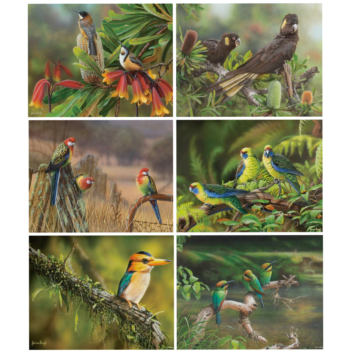 australian placemats coasters