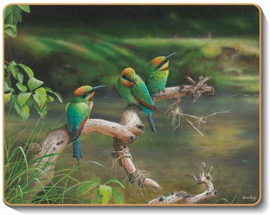 australian placemats coasters