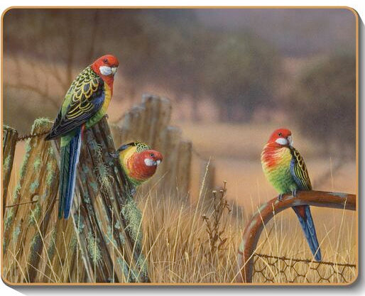 australian placemats coasters