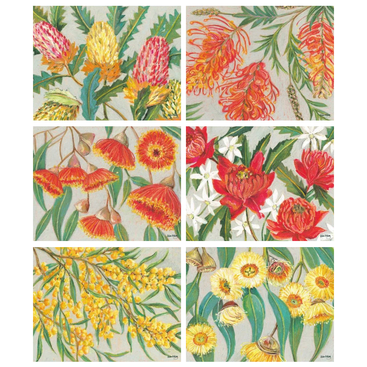 australian placemats coasters