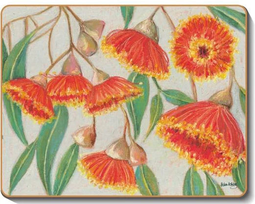 australian placemats coasters
