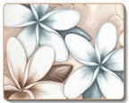 australian placemats coasters