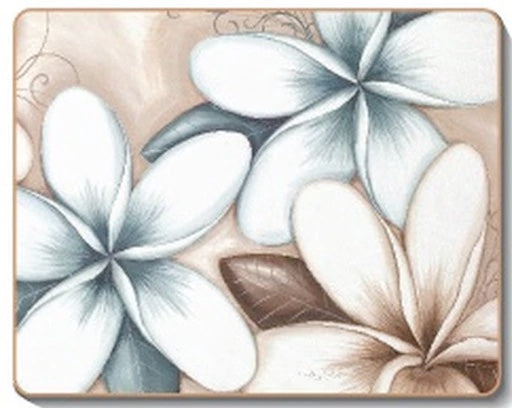 australian placemats coasters
