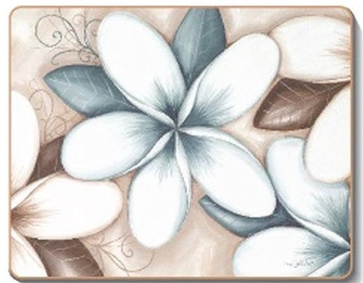 australian placemats coasters