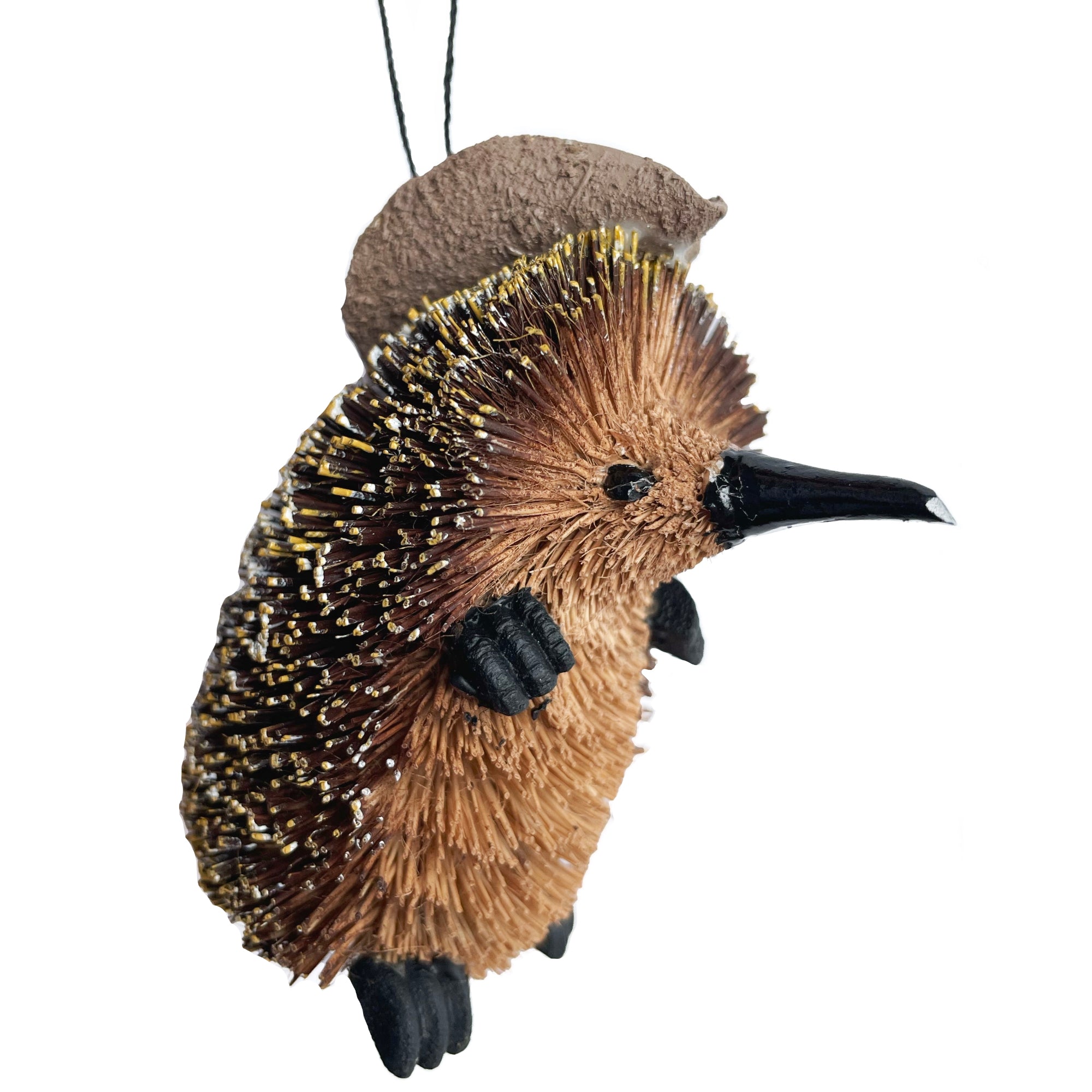 echidna ornament akubra hat