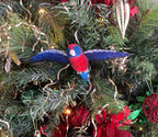 crimson rosella ornament wings out