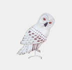 OWL FIGURINE x 2 - BARN OWLS, 27cmH, 23cmH - STANDING ORNAMENT - AUSTRALIA, SOUVENIR, GIFT, BIRD