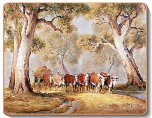 australian placemats coasters