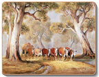 australian placemats coasters
