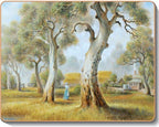 australian placemats coasters