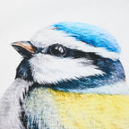 australian bird tea towel