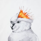 australian bird tea towel