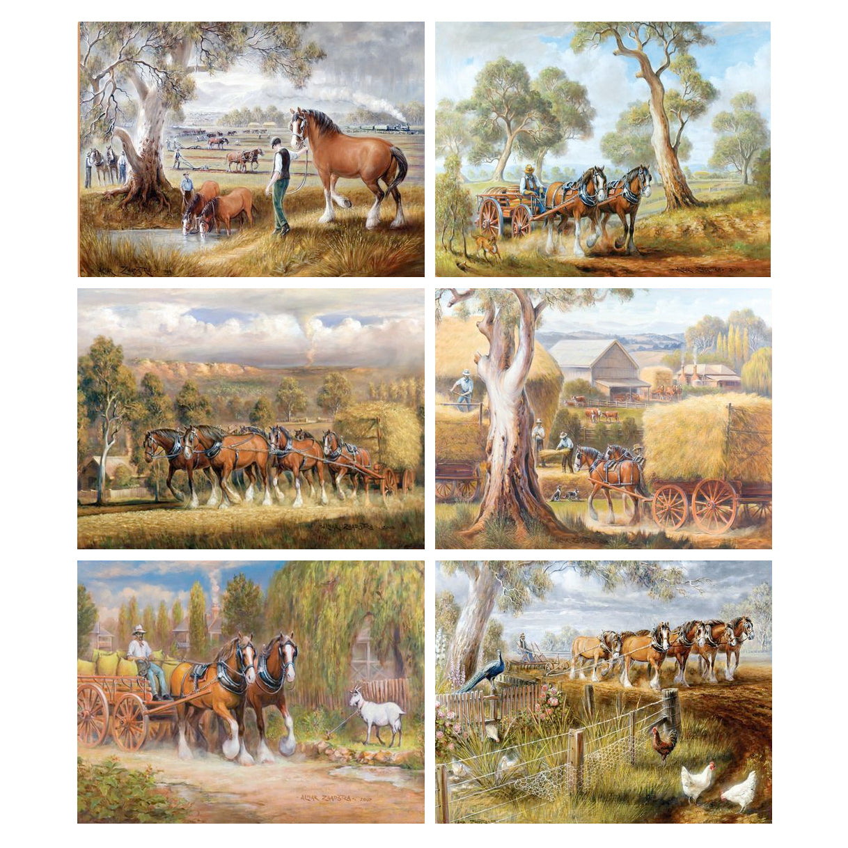 australian placemats coasters