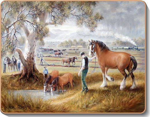 australian placemats coasters