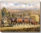 australian placemats coasters